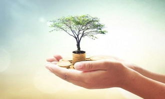 北京個(gè)人設(shè)計(jì)工作室注冊(cè)與運(yùn)營(yíng)全攻略 開啟您的專業(yè)設(shè)計(jì)服務(wù)之路